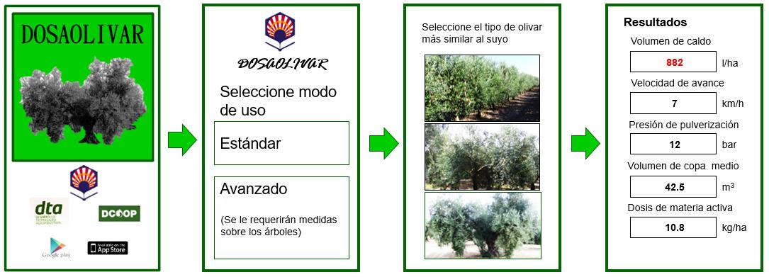 dosaolivar app